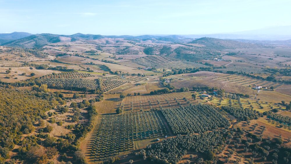Podere Manni Maremma