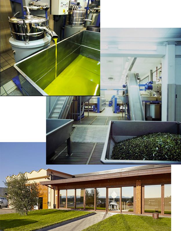 Il frantoio OL.MA. a Braccagni dove viene estratto l’olio del Podere Manni