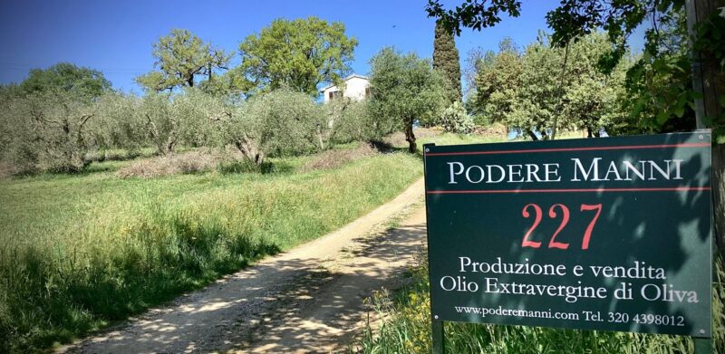 Die Einfahrt zum Podere Manni mit dem Schild 227 zwischen den Olivenbäumen, Roselle (Grosseto)
